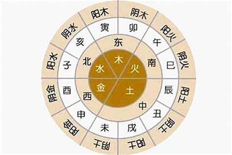 八字陰陽比例|八字的五行比例 